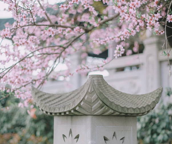 图片12.png 图片12.png