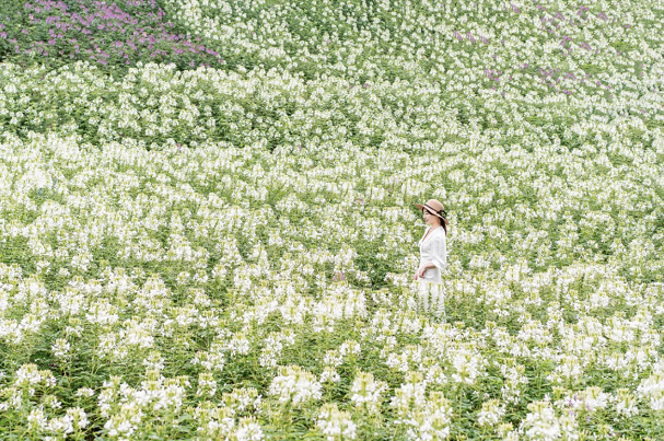 图片16.png 图片16.png