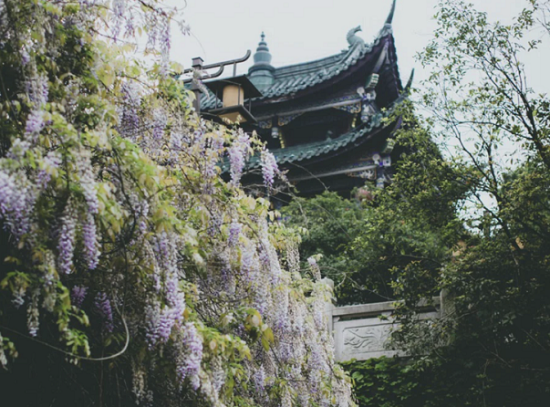 图片10.png 图片10.png