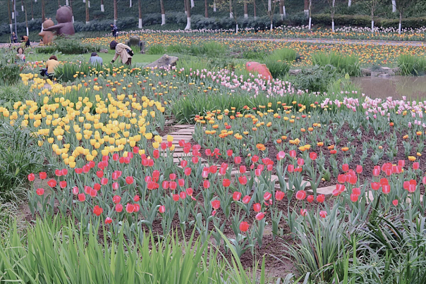 图片13.png 图片13.png