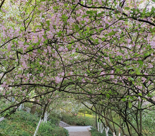 图片7.png 图片7.png