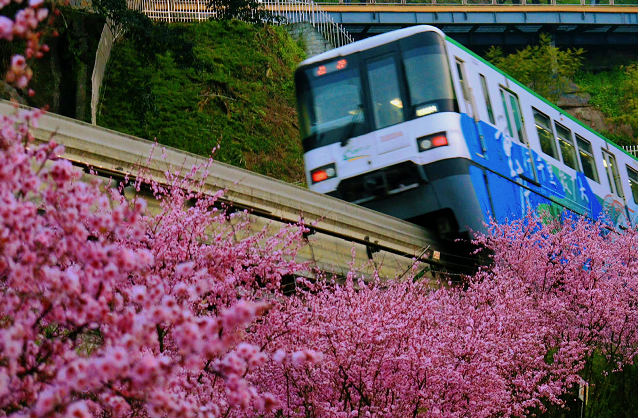 图片2.png 图片2.png