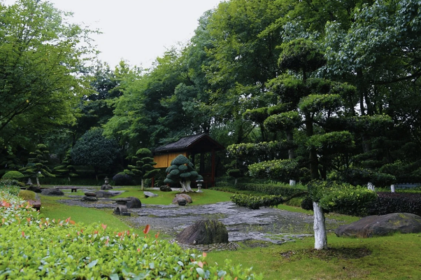 图片15.png 图片15.png