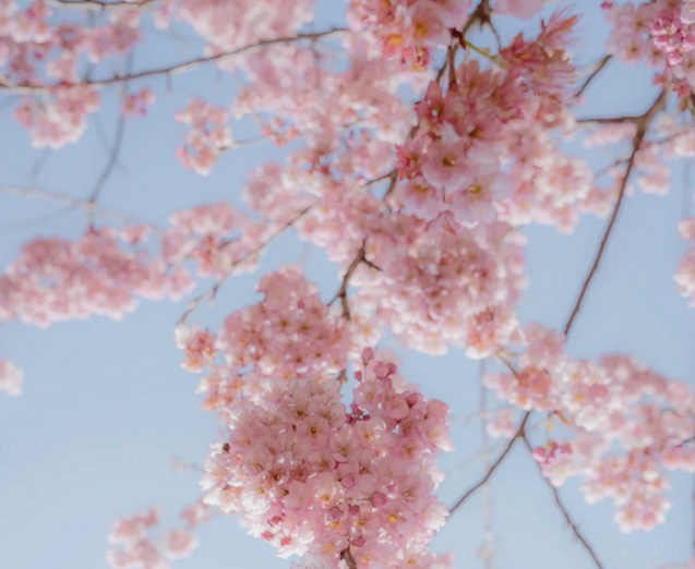 图片5.png 图片5.png