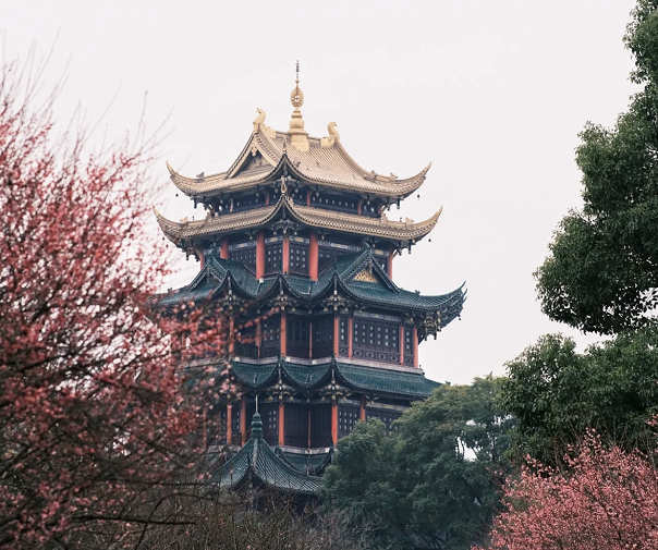 图片11.png 图片11.png