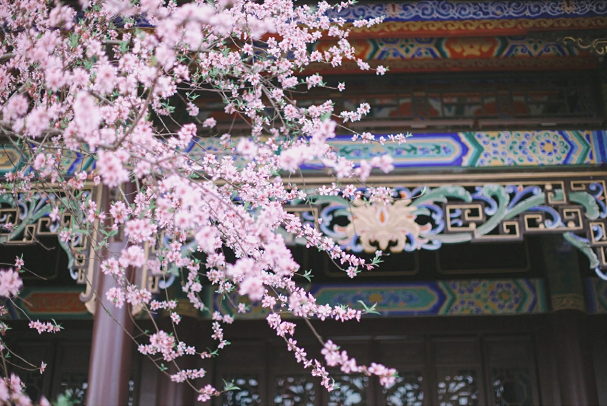 图片9.png 图片9.png