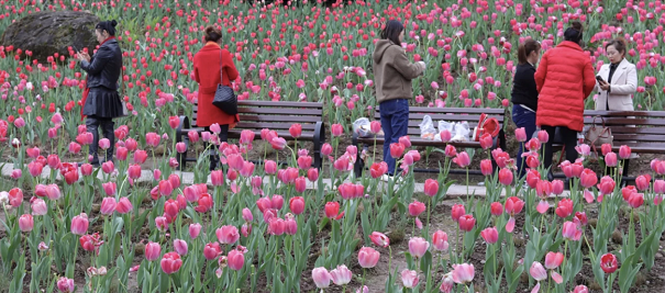 图片14.png 图片14.png