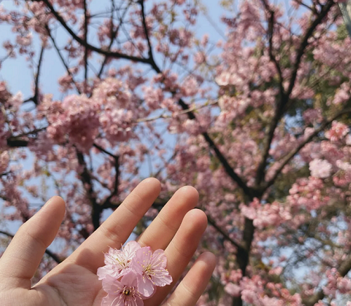 图片8.png 图片8.png